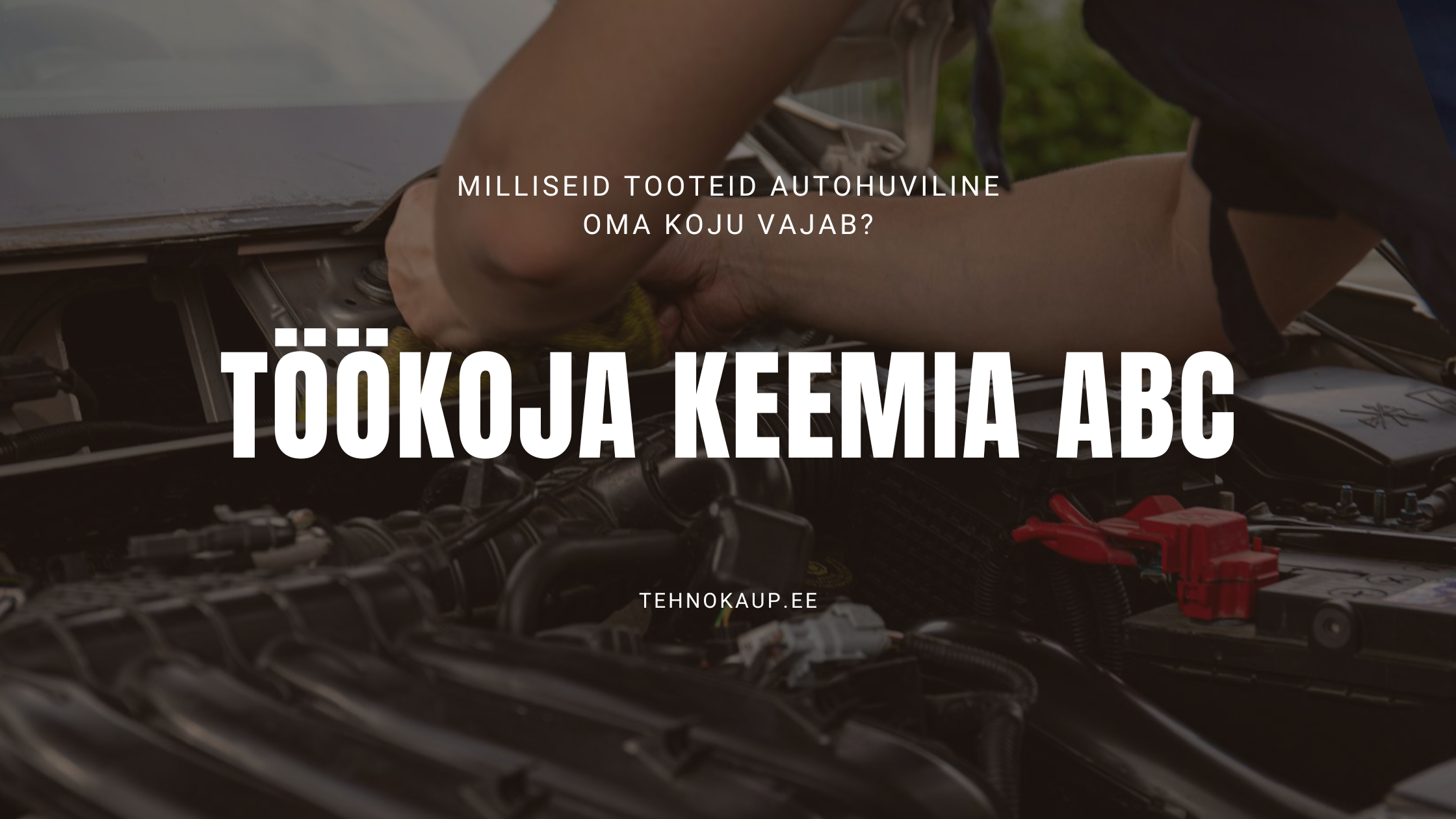 Töökoja keemia ABC – milliseid tooteid autohuviline oma koju vajab?